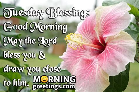 funny tuesday blessings|tuesday morning blessings and prayers.